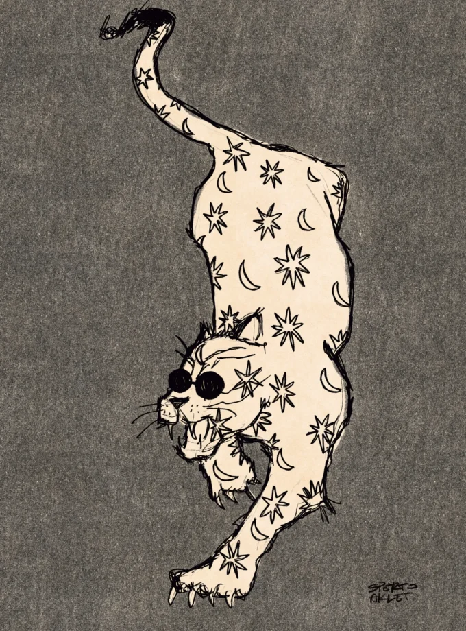 Cosmic Cat